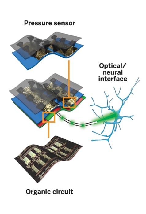 Artificial Skin for Robotic Limbs