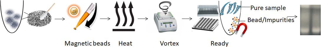 Streamline Fingerprint DNA Purification with Bioclone's Revolutionary ...