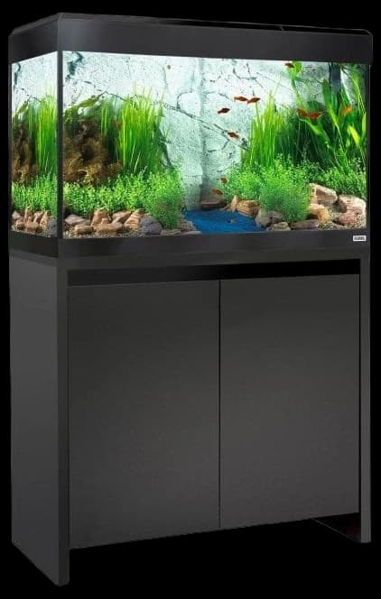Fluval Roma 125 - Aquarium and Cabinet Set - Black - Aquarium from ...