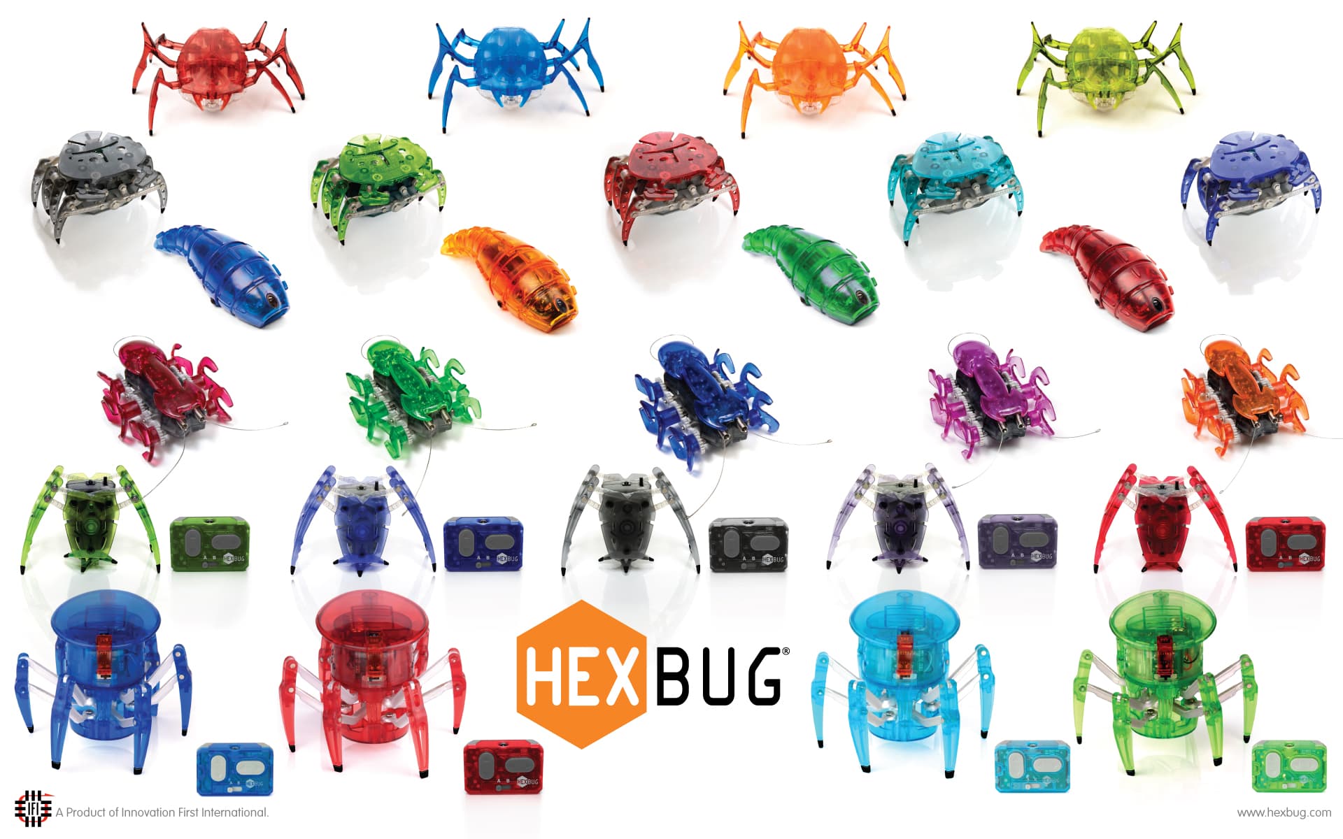 alive here are some of the key steps and supporting images that ...