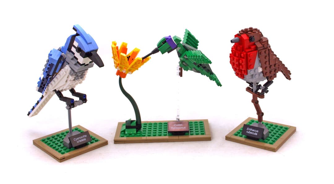 Birds - LEGO set #21301-1 (Building Sets > Ideas)
