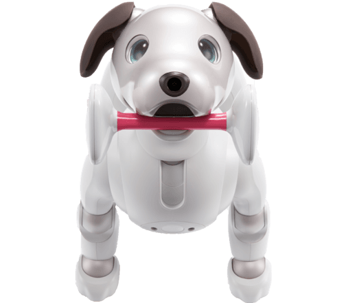 Sony aibo Accessory Bundle | Sony US | ACCHB22
