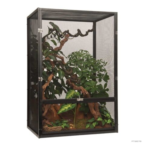 Why use a natural terrarium setup? - Exo Terra
