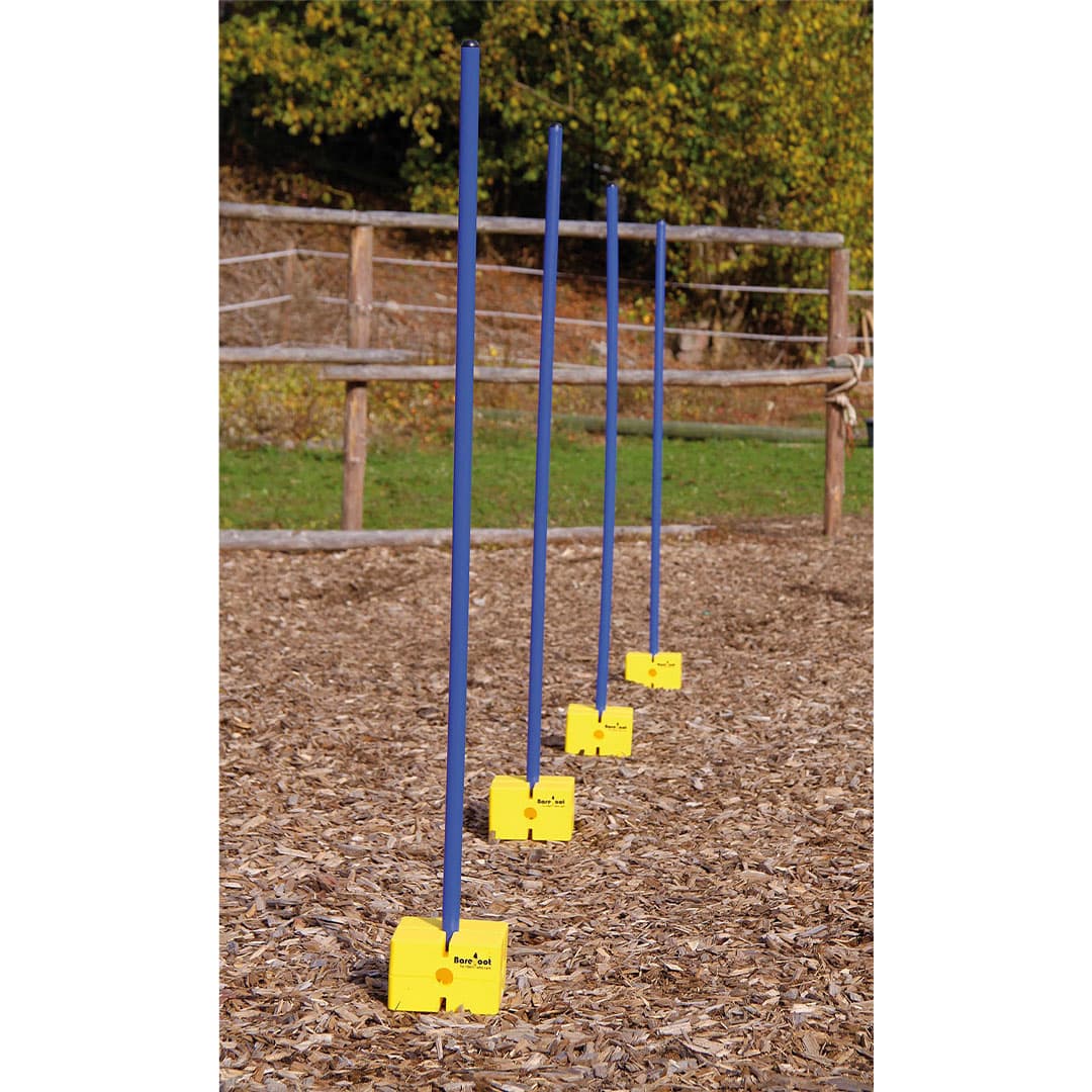 AGILITY POLE for ground work, 120 cm - Harvey Equine