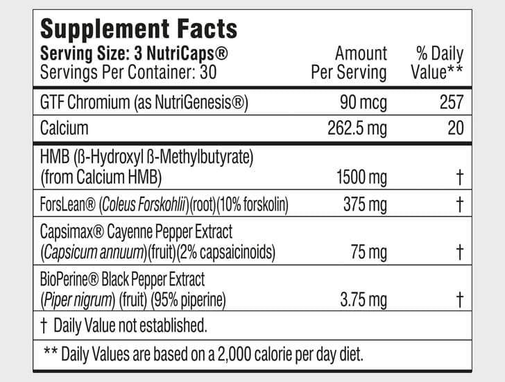 Burn Lab Pro® Fat Burner Review – Can You Drop The Pounds With It ...