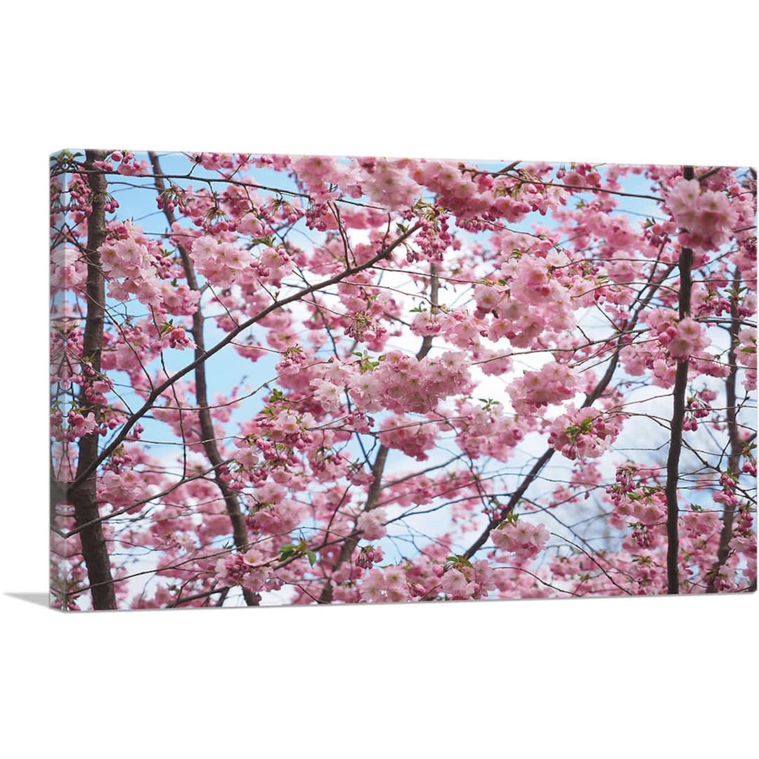 ARTCANVAS Spring Cherry Blossom Tree Home Decor Canvas Art Print - Etsy