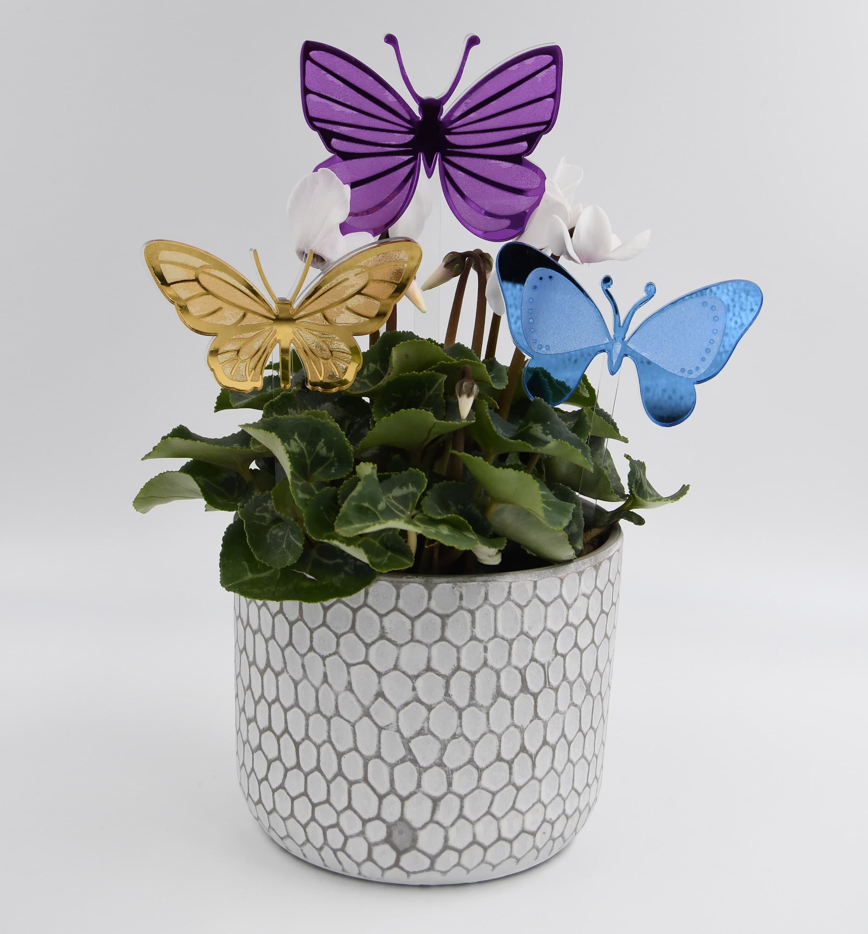 Butterfly Plant Stakes Set, Gardening Gift, Plant Gift, Garden Decor ...