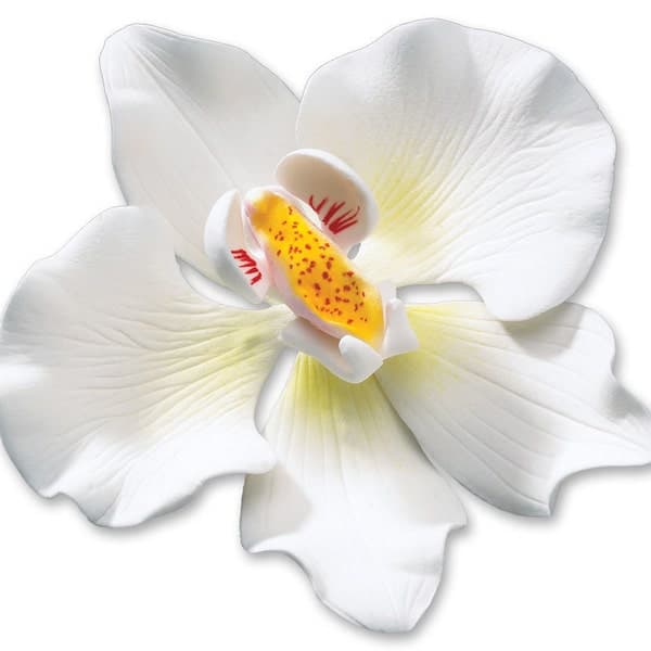 Orchid Cake Topper - Etsy