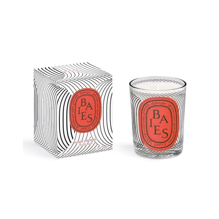 DIPTYQUE 6.5 oz. Baies Candle | Baies candle, Diptyque candles, Scented ...