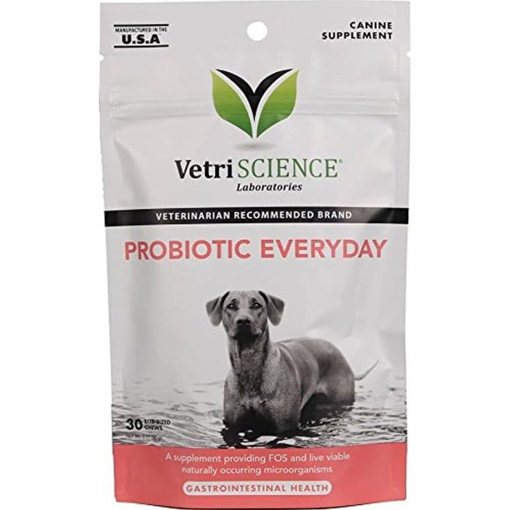 VetriScience Laboratories Probiotic Everyday for Dogs, Digestive ...