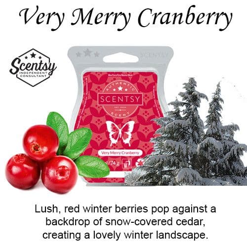 Very Merry Cranberry Scentsy Bar – The Candle Boutique - Scentsy ...
