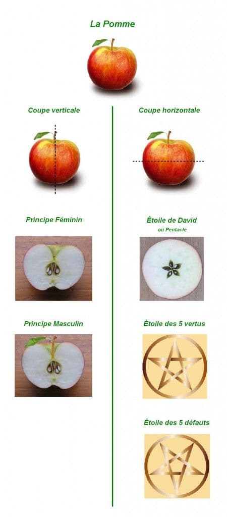 Le symbole de la Pomme
