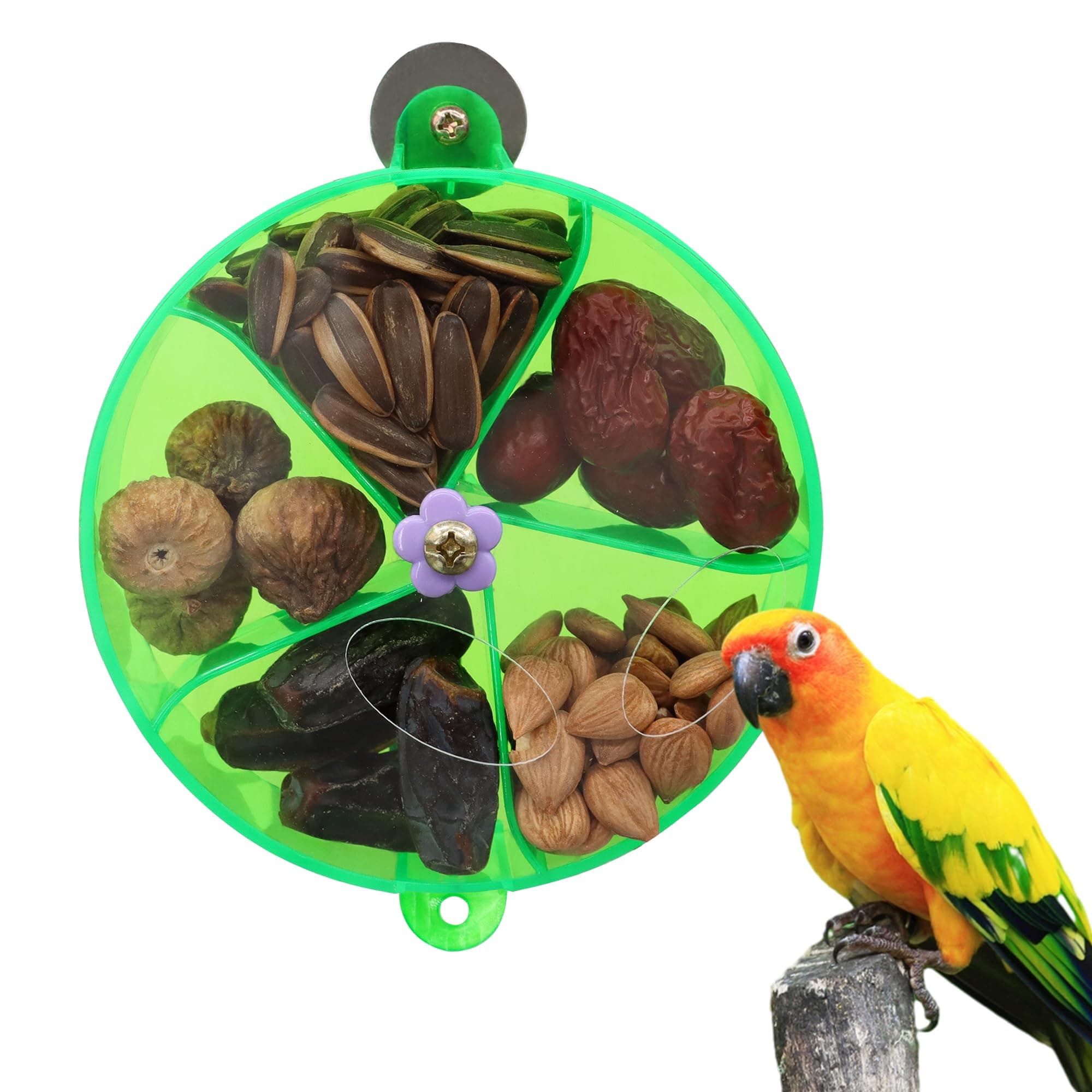 DVHEY Green Bird Creative Foraging System Foraging Wheel,Seed Food ...