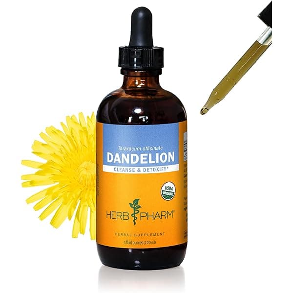 Amazon.com: Herb Pharm Certified Organic Cilantro Liquid Extract ...