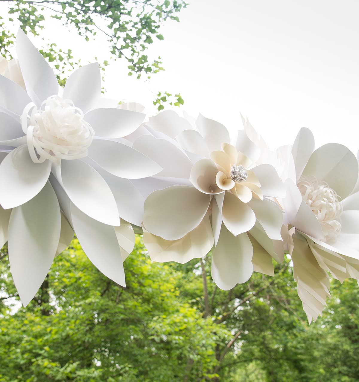 Giant Paper Flower Arch at Dale Duffin blog