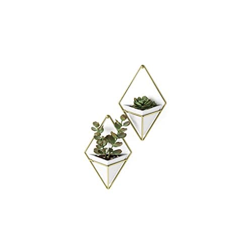 Umbra Trigg Ceramic Hanging Planter Wall Décor, Set of 2 White/Brass ...