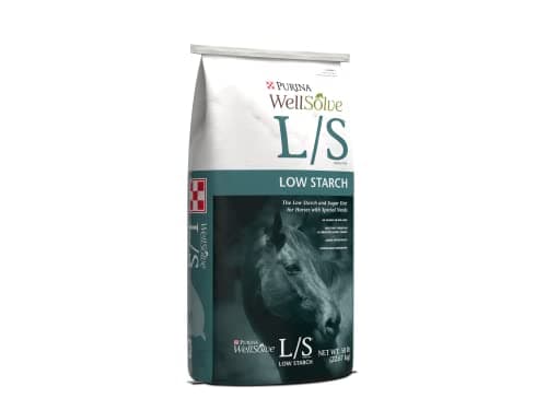 Purina® WellSolve gal/S Horse Feed | Low Starch and Sugar – Purina Animal ...