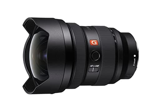 Sony FE 12-24mm F2.8 G Master Full-Frame Constant-Aperture Ultra-Wide Zoom Lens, SEL1224GM
