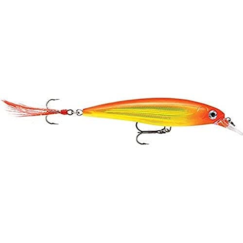 Rapala X-Rap 10 Live Perch