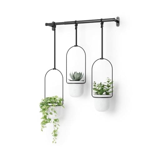 UMBRA | TRIFLORA HANGING PLANTER - White / Brass – Flux Boutique