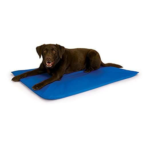 K&H Manufacturing Cool Bed III Cooling Dog Bed, Medium, 22-Inch by 32-Inch, Blue