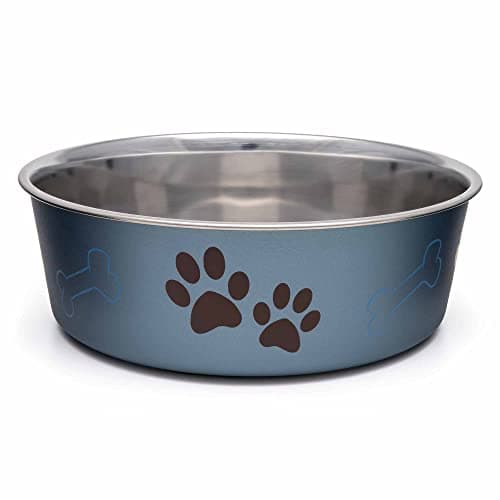 Loving Pets Bella Bowl Dog Bowl, Medium, 1-Quart, Paparazzi Pink
