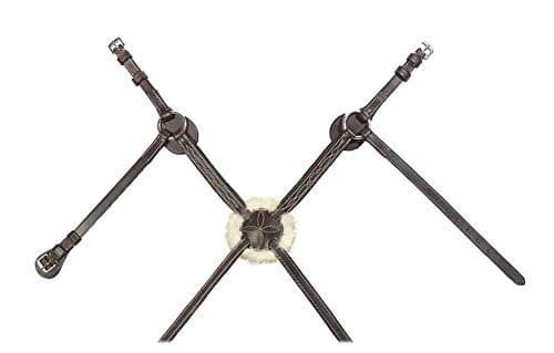 Raised figure 8 noseband bridle