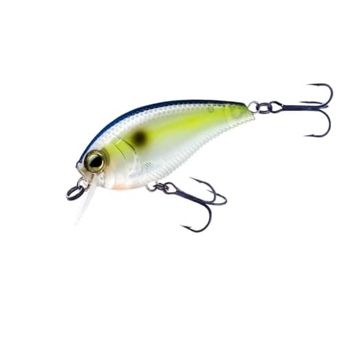 Yo-Zuri 3DB 1.5 MR Crankbait | Sportsman's Warehouse