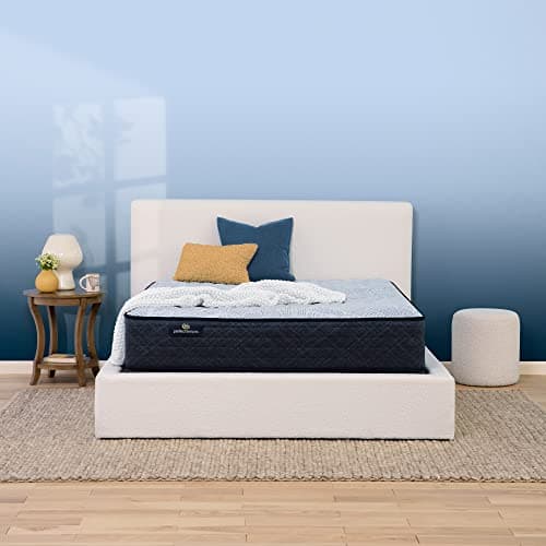 Amazon.com: Serta Perfect Sleeper Elite Firm Super Pillow Top 700 ...