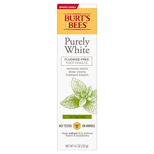 Amazon.com : Burt's Bees Toothpaste, Natural Flavor, Fluoride-Free ...