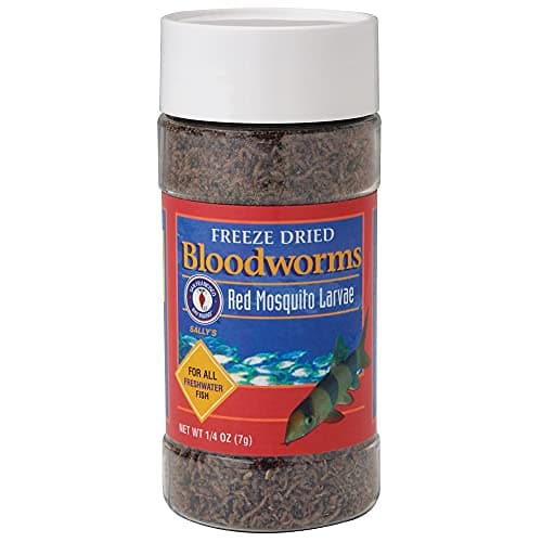 Frozen Bloodworms Fish Food (2 lb - 216 cubes) - San Francisco Bay ...