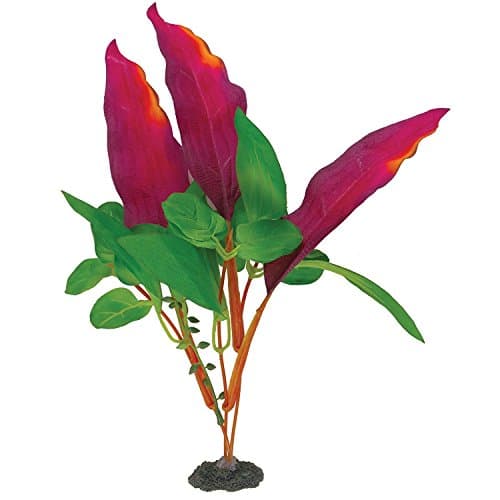 Marina Naturals Red/Green Pickerel Silk Plant, Medium