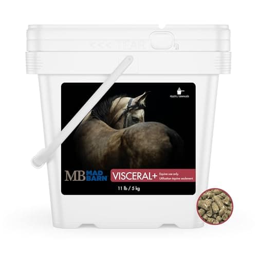 Mad Barn - Optimum Digestive Health | Gut Health Supplement | Improves Feed Efficiency | Supports Immune Function | Probiotic & Prebiotic Supplement for Horses (5kg)