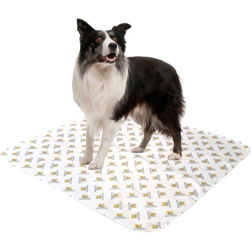 PoochPad Reusable Absorbent Pet Potty Pad-Interlocking - Walmart.com