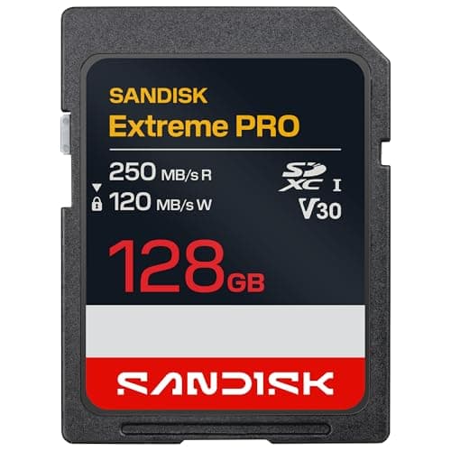 SanDisk 256GB Extreme PRO SDXC UHS-I Memory Card - C10, U3, V30, 4K UHD, SD Card - SDSDXXD-256G-GN4IN