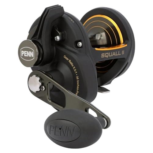 Penn SQLII40LD Squall II Lever Drag