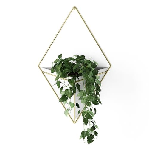 20+ Unique Garden-Inspired Gifts for Plant Lovers