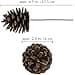 Ashland Natural Pinecone Picks