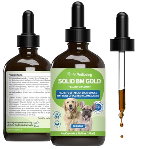 Pet Wellbeing Solid BM Gold for Cats - Vet-Formulated - Supports Healthy Digestive Function, Solid Stools, Normal Bowel Movements, Bayberry, Oregon Grape - Herbal Supplement 4 oz (118 ml)