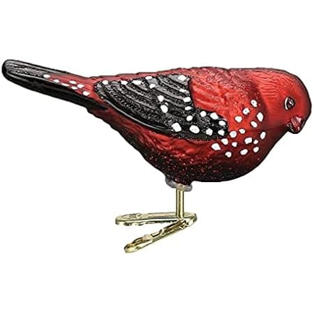 Amazon.com: Old World Christmas Clip-on Pygmy Owl Bird Blown Glass ...