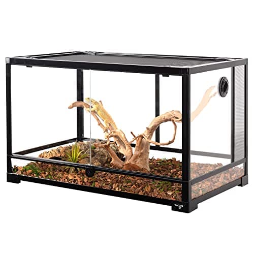 I Tested the Front Opening Terrarium 40 Gallon - Here's Why It's the ...