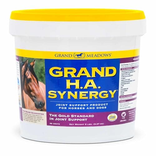 Finding the Best Glucosamine Chondroitin for Horses [Top Guide]