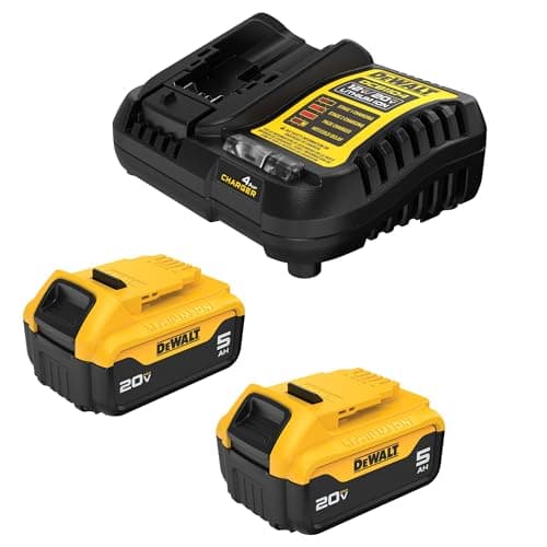 DeWalt 20V Max kit de démarrage de batterie