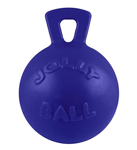 Jolly Pets Tug-n-Toss Ball