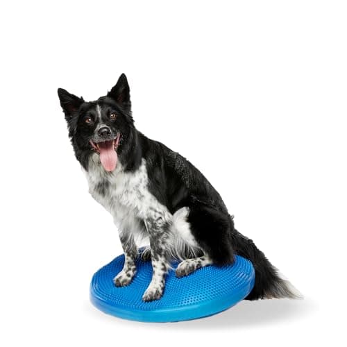 FitPAWS® Dog Balance Disc – 14”, Razzleberry | Dog Exercise Equipment | Workout Tool for Strength, Core, Stability & Rehabilitation