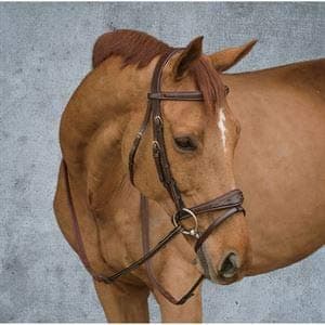 Bridle Dy'on New English Collection anatomic - Our Saddlery