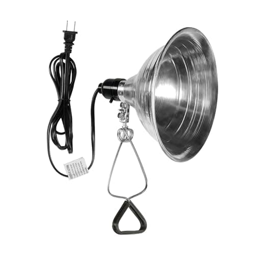 Simple Deluxe Clamp Lamp Light Aluminum Reflector up to 60 Watt E26 (No ...