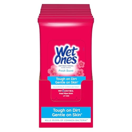 Wet Ones Antibacterial Hand Wipes