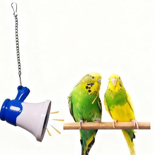 Parrot-Toys-to-Teaching-Training-Bird-Talking-Coach-Interactive ...