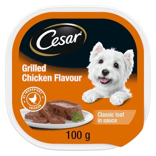 CESAR Dog Food Wet Classic Loaf in Sauce Entrées - Chicken, 100g Tray (24 Pack)